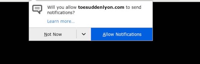 how to remove toesuddenlyon.com